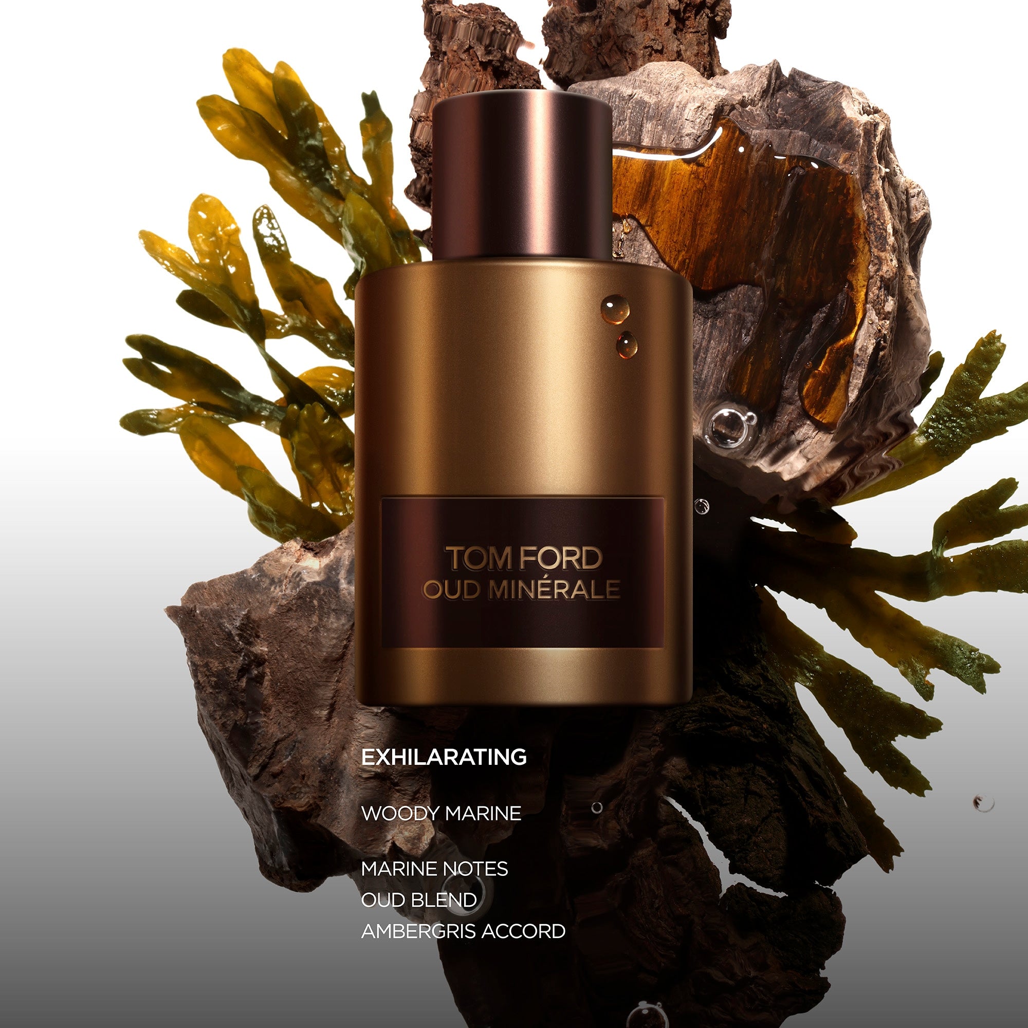 Tom Ford Oud Minérale Eau de Parfum 100ML (UNISEX) detail 4