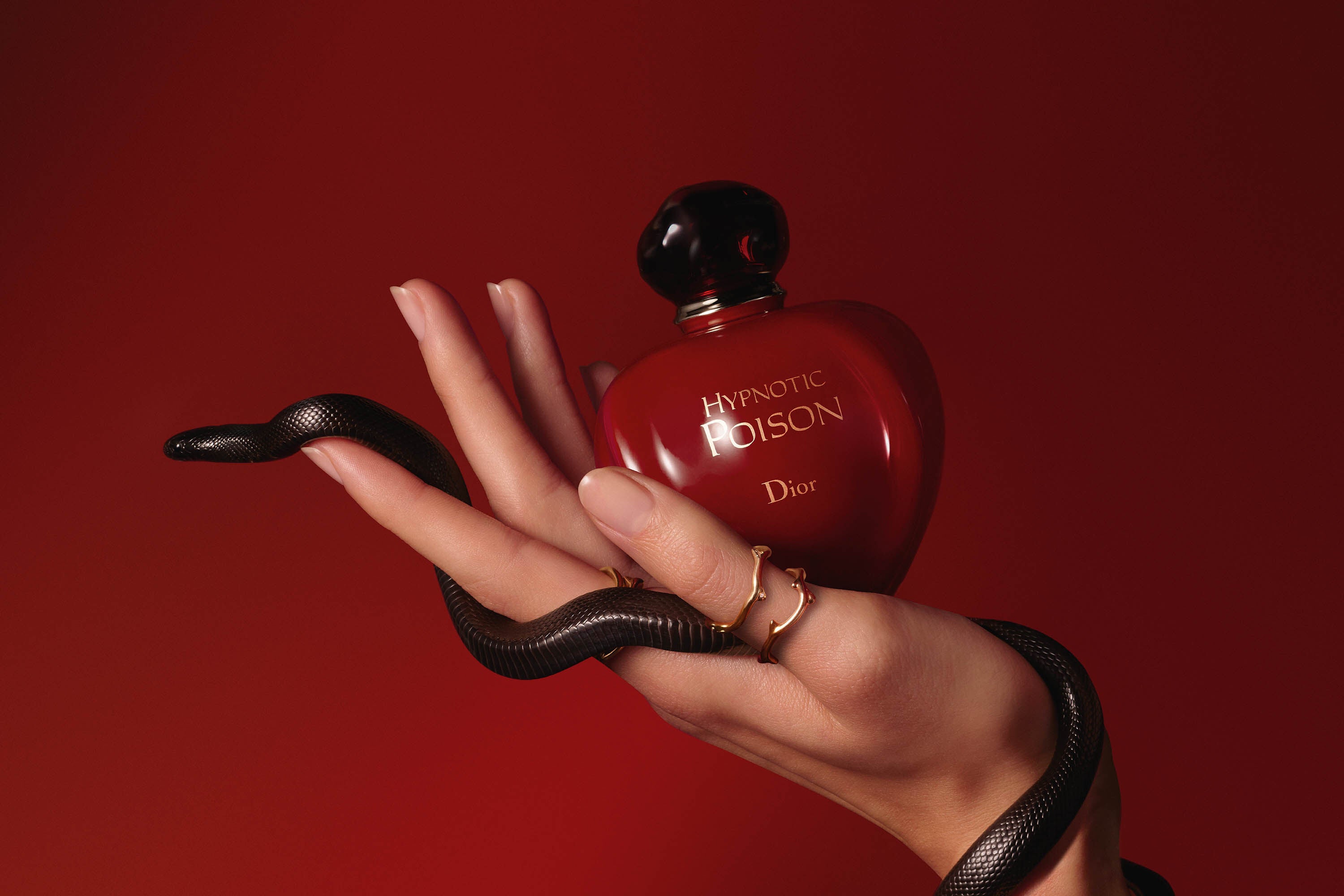 DIOR HYPNOTIC POISON 100ML detail 2