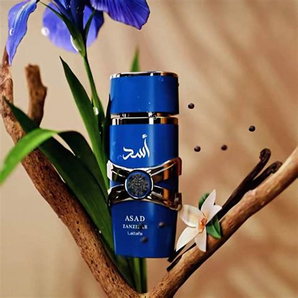 Lattafa  Asad Zanzibar 100ML detail 2