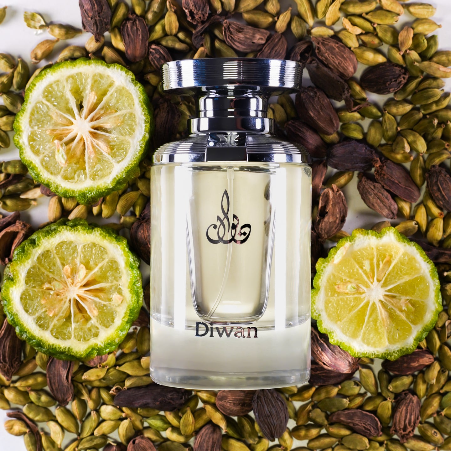 Arabian Oud Diwan 100ML detail 2
