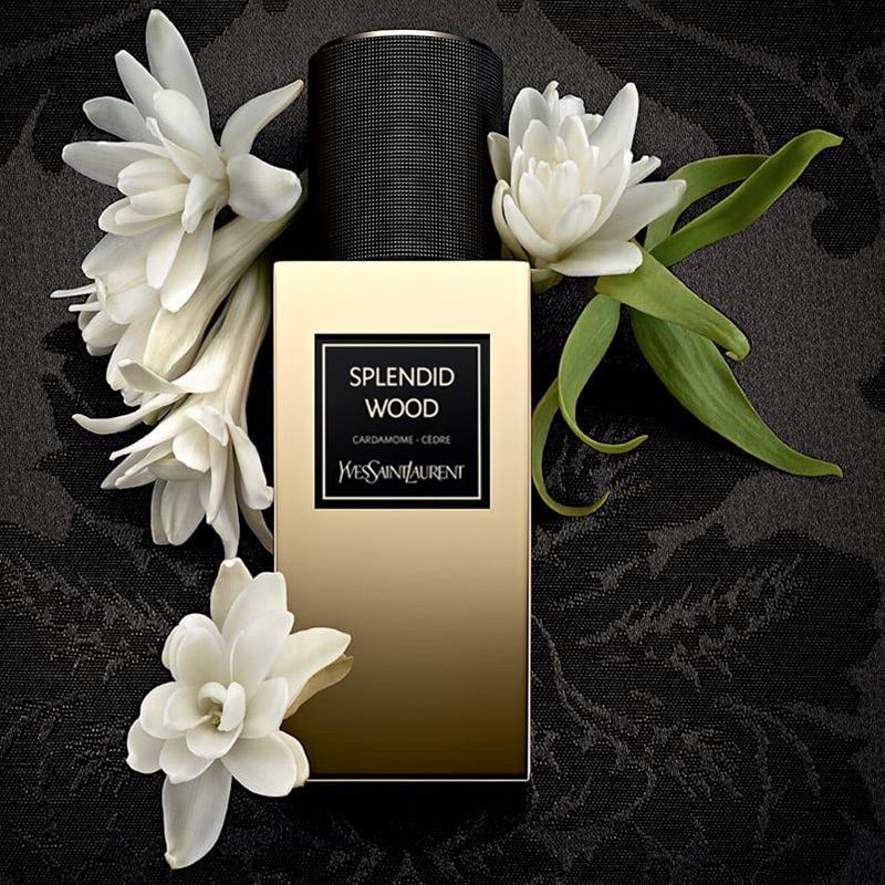 YSL Splendid Wood 125ML detail 1