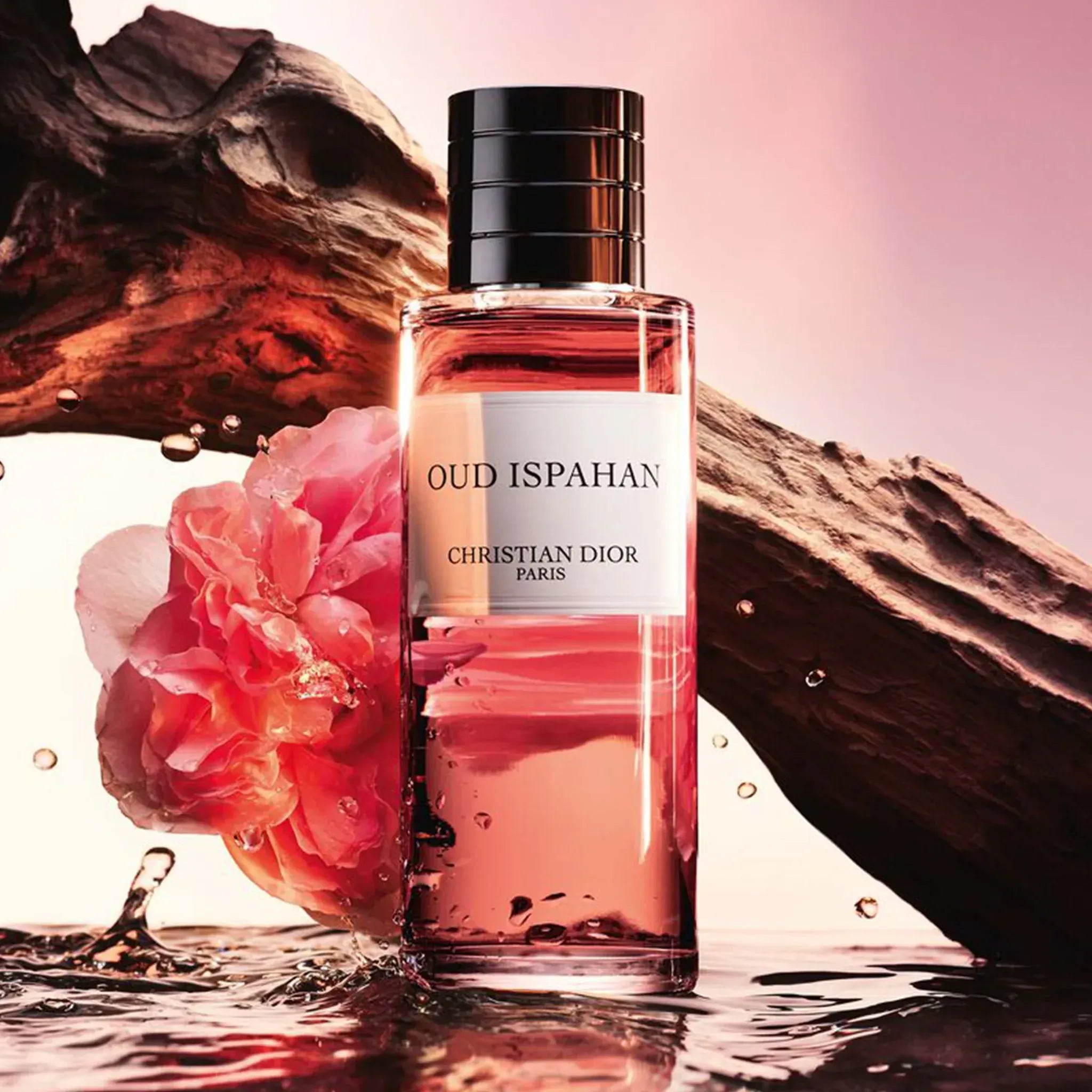 DIOR Oud Ispahan 250ML (WITHOUT BOX) detail 2