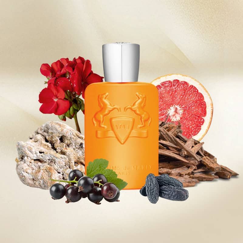 DE Marly Perseus Parfums 125ML detail 1