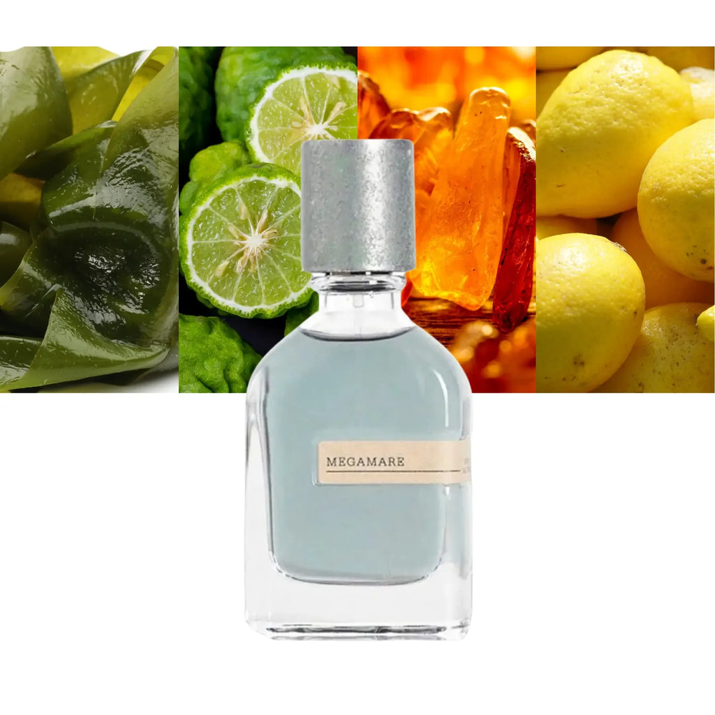 Megamare Orto Parisi 50ML detail 3